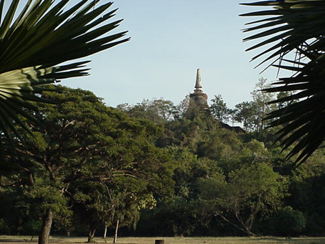image-33