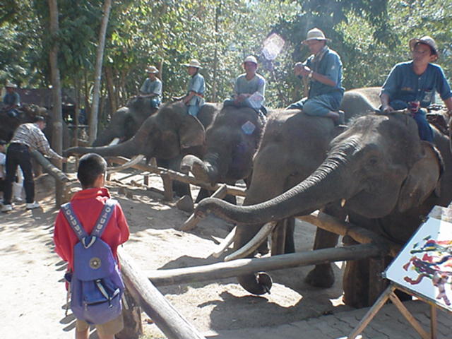 image-36