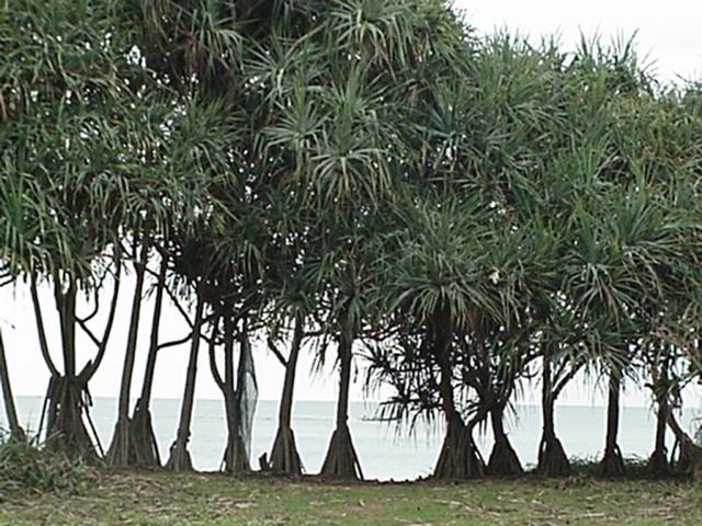 image-19