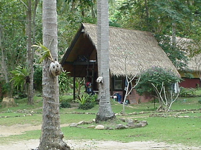 image-20