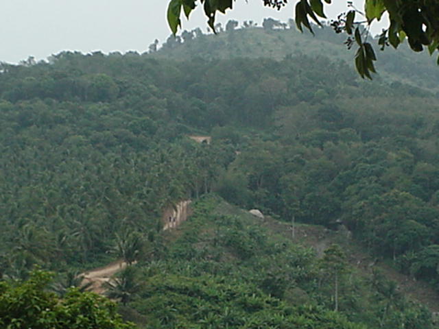 image-29