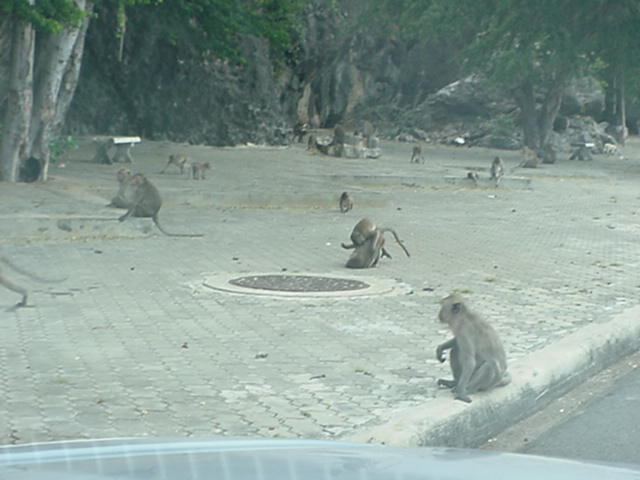 image-14