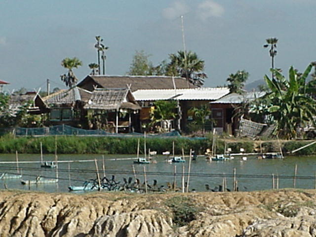 image-17