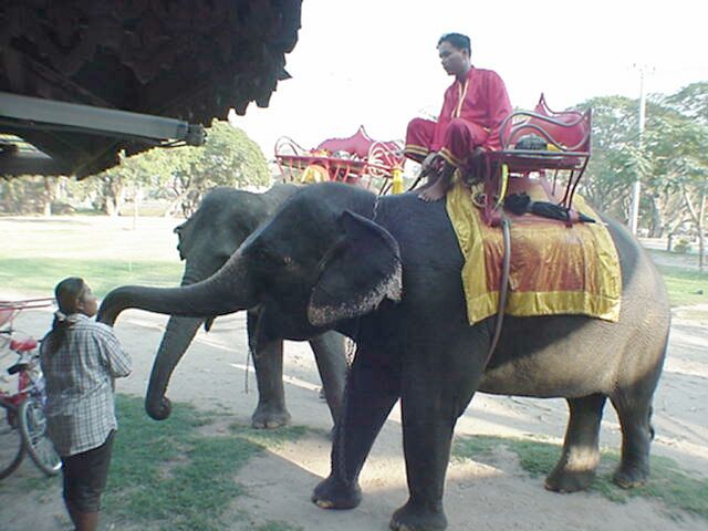 image-24