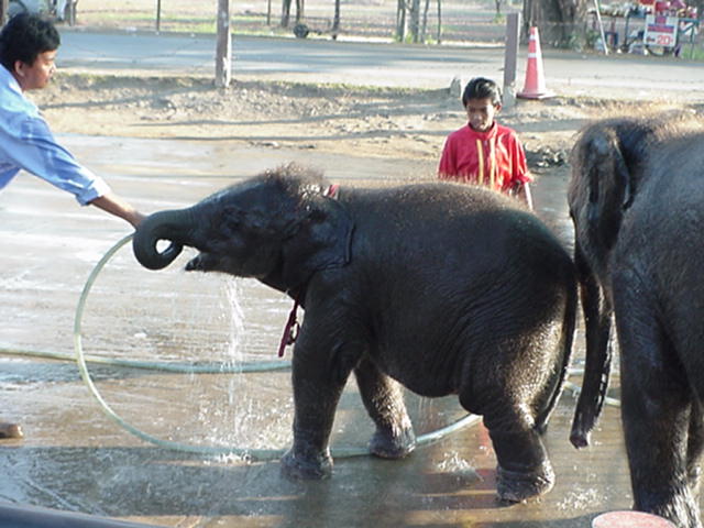 image-26