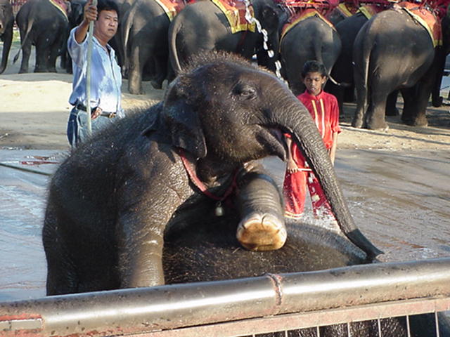 image-28