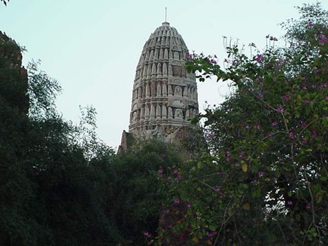 image-36