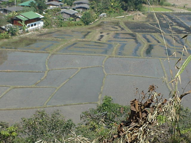 image-17