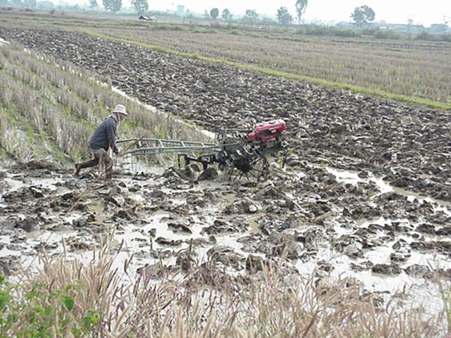 image-22