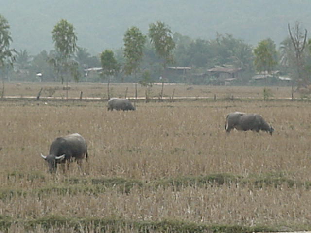 image-24