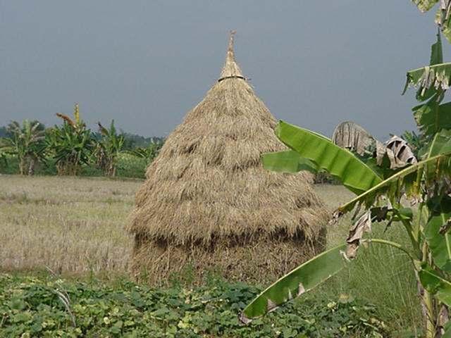 image-33