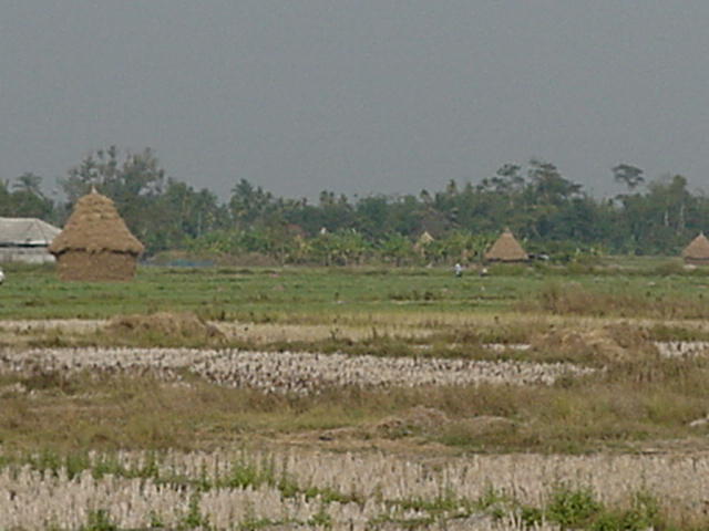 image-34