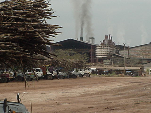 image-36